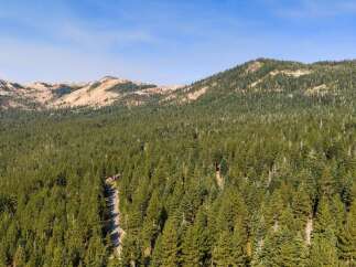 Discover breathtaking mountain vistas and lush evergreen forests from this stunning property.