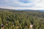 Nestled amidst a dense forest of towering pine trees, this property offers a secluded mountain retreat.