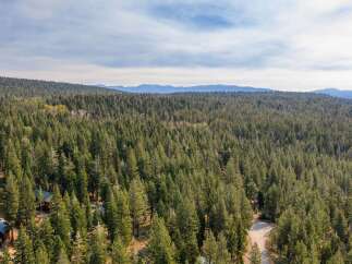 Nestled amidst a dense forest of towering pine trees, this property offers a secluded mountain retreat.