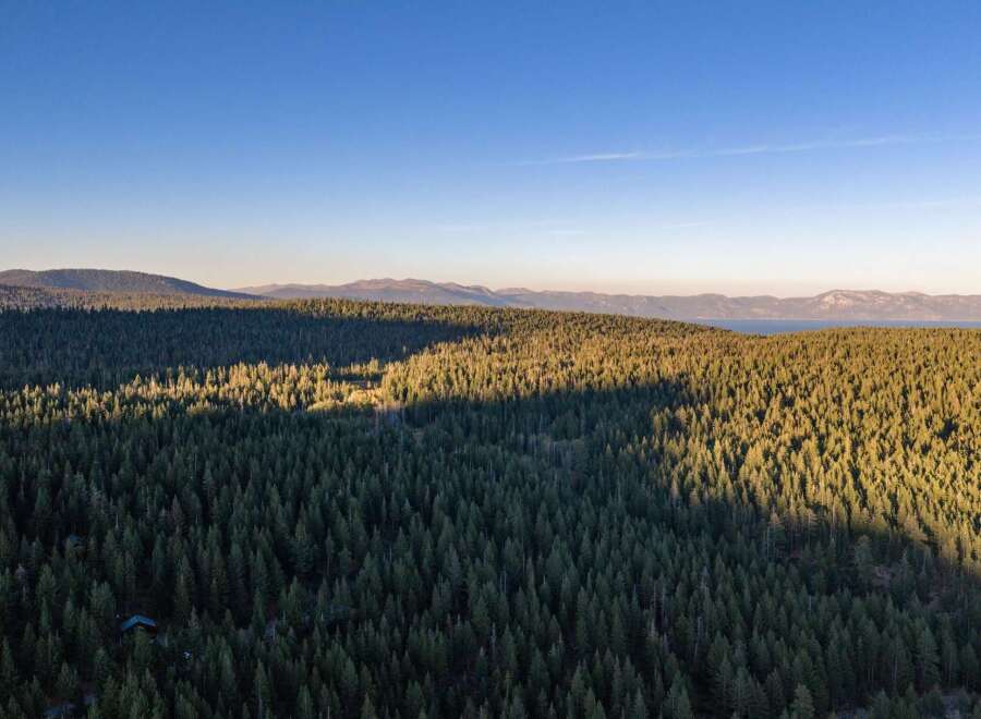 Discover a serene escape with this stunning aerial view of a vast evergreen forest, bathed in the warm glow of golden hour sunlight.