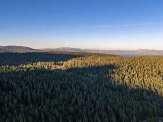 Discover a serene escape with this stunning aerial view of a vast evergreen forest, bathed in the warm glow of golden hour sunlight.