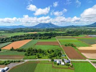 Discover this prime agricultural land with a marked boundary, offering a unique opportunity for farming or development.