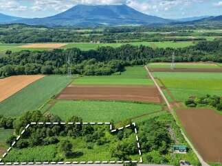 Discover this expansive parcel of land, perfect for agricultural endeavors or future development.