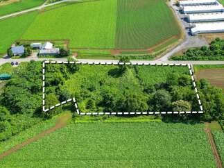 Discover this expansive parcel of land, perfect for agricultural development or a private estate.