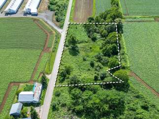 Discover this prime parcel of land, ideally situated adjacent to vast agricultural fields and a rural road.
