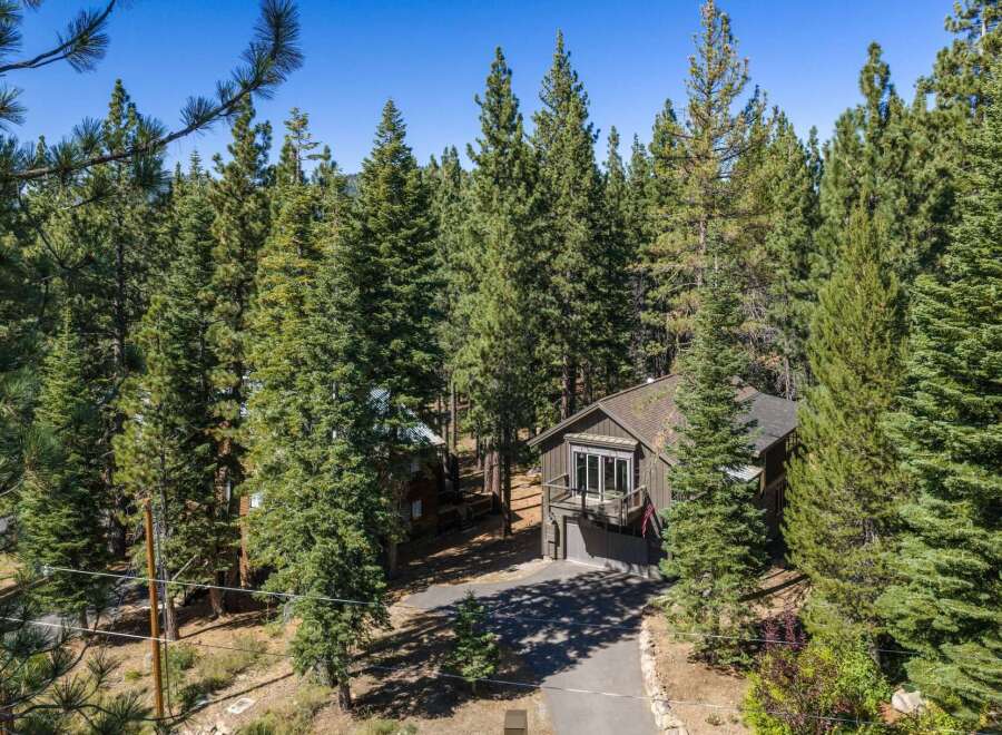 Nestled amidst towering pine trees, this charming cabin offers a serene mountain retreat.