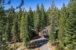 Nestled amidst towering pine trees, this charming cabin offers a serene mountain retreat.
