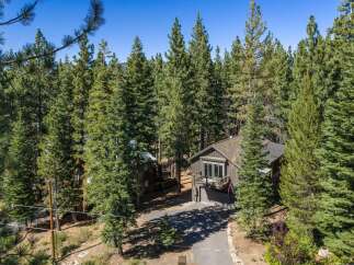 Nestled amidst towering pine trees, this charming cabin offers a serene mountain retreat.