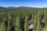 Nestled amidst a dense forest of towering pine trees, this property offers a secluded and serene mountain retreat.