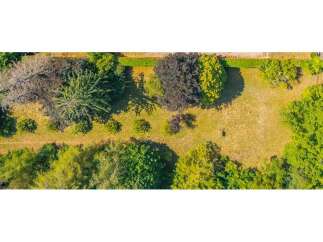 Discover this expansive, tree-lined property offering a serene escape with ample space for outdoor activities and potential development.