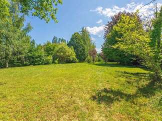 Discover this expansive, sun-drenched lawn, perfect for outdoor activities and relaxation.