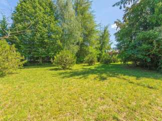 Discover this expansive, sun-drenched lawn, perfect for outdoor activities and relaxation.