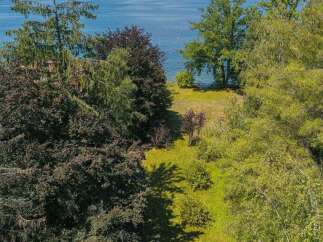Discover a serene lakeside retreat with lush greenery and stunning water views.