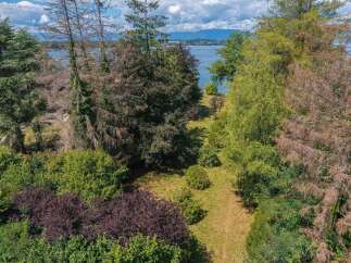 Discover a serene lakeside retreat with lush greenery and mature trees offering privacy and natural beauty.