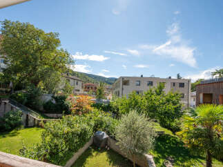 Enjoy the lush greenery and serene ambiance of this property's backyard, featuring a well-maintained lawn, mature trees, and a charming olive tree.