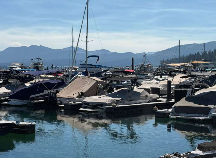 Experience the ultimate waterfront lifestyle with this stunning marina featuring a wide array of boats docked under a clear blue sky.