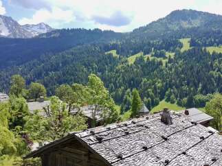 Experience the charm of alpine living with this picturesque property nestled amidst lush green mountains and dense forests.