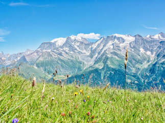 Experience breathtaking mountain views from this stunning property, nestled amidst vibrant alpine meadows.