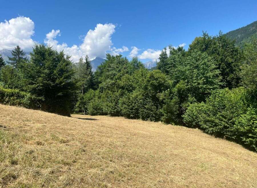 Discover this stunning property featuring a freshly mown meadow perfect for outdoor activities, bordered by lush, mature trees offering privacy and natural beauty.