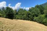 Discover this stunning property featuring a freshly mown meadow perfect for outdoor activities, bordered by lush, mature trees offering privacy and natural beauty.