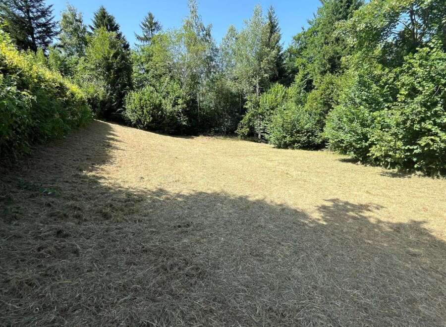 Discover this beautifully manicured lawn, perfect for outdoor activities and relaxation.