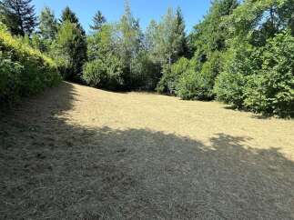 Discover this beautifully manicured lawn, perfect for outdoor activities and relaxation.