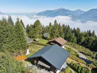 Experience breathtaking mountain views from this stunning property nestled amidst lush evergreen forests.