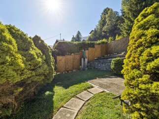 Enjoy the sunshine in this beautifully landscaped backyard, featuring lush green trees and a charming stone pathway leading through the garden.