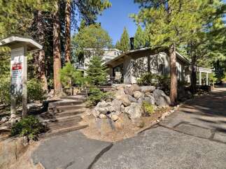 Nestled amidst towering pine trees, this charming property offers a serene mountain retreat.