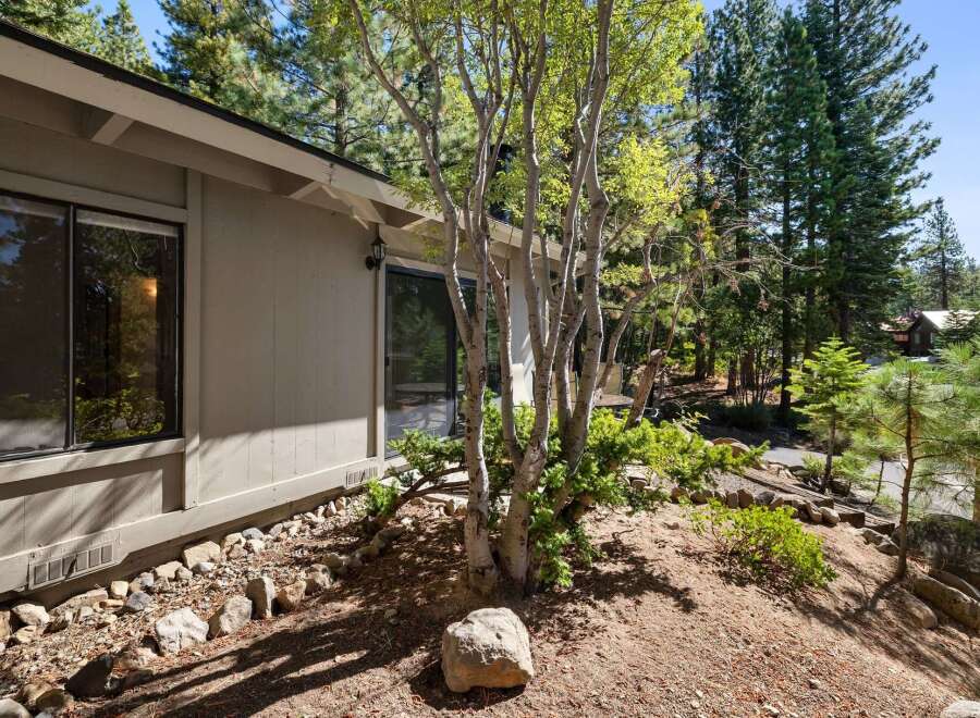 Nestled amidst tall pine trees, this property offers a serene mountain retreat.
