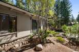 Nestled amidst tall pine trees, this property offers a serene mountain retreat.