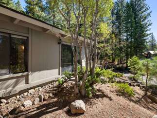 Nestled amidst tall pine trees, this property offers a serene mountain retreat.