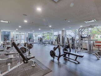 Elevate your fitness routine in this well-equipped gym, featuring a variety of weight machines and free weights.