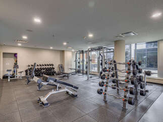 Equip your fitness routine in this well-appointed gym, featuring a comprehensive selection of free weights, including multiple dumbbell racks and EZ curl bars.