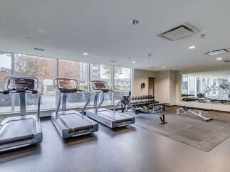This modern gym features state-of-the-art cardio equipment, including multiple treadmills and a rowing machine, perfect for your fitness routine.