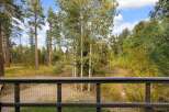 Enjoy the serene natural beauty surrounding this property, featuring a lush forest backdrop with tall pine and aspen trees.