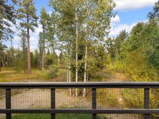 Enjoy the serene natural beauty surrounding this property, featuring a lush forest backdrop with tall pine and aspen trees.
