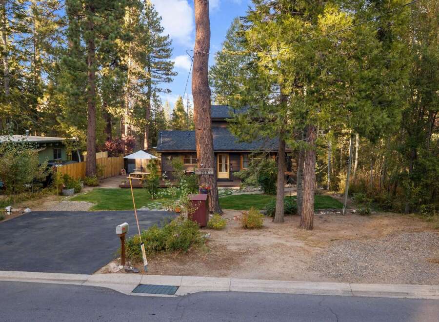 Nestled amongst tall pine trees, this charming cabin offers a serene retreat.