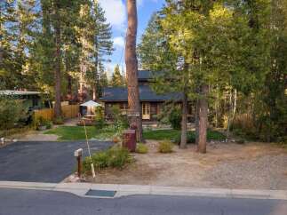 Nestled amongst tall pine trees, this charming cabin offers a serene retreat.