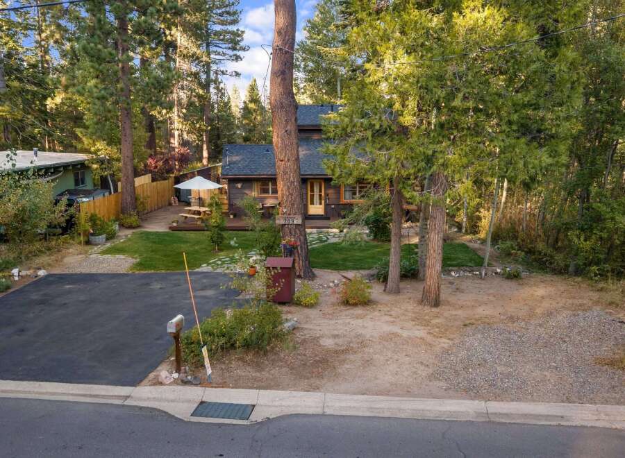 Charming cabin nestled among tall pine trees, offering a serene retreat.