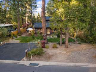 Charming cabin nestled among tall pine trees, offering a serene retreat.