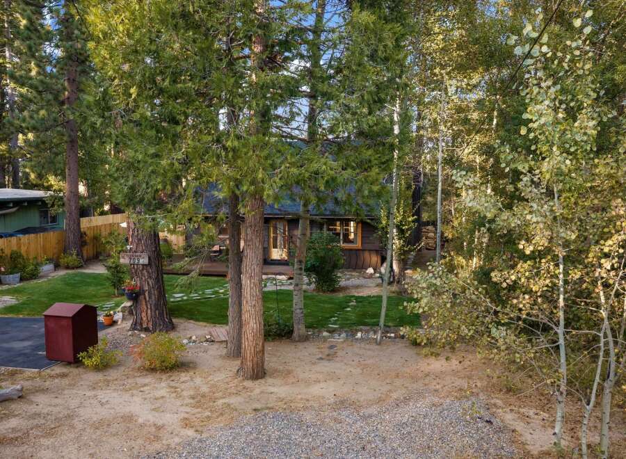 Nestled amidst tall trees, this charming cabin offers a serene retreat with its rustic exterior and inviting porch.