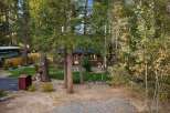 Nestled amidst tall trees, this charming cabin offers a serene retreat with its rustic exterior and inviting porch.