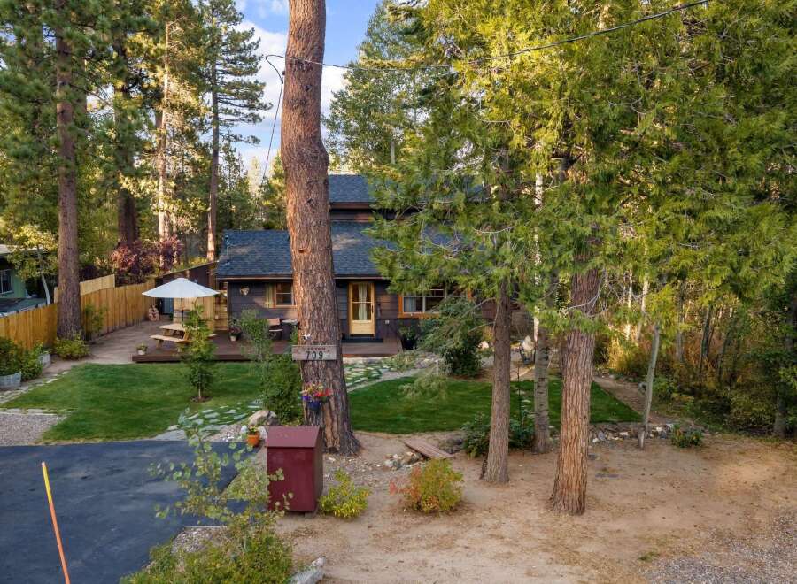 Charming cabin nestled among tall trees, offering a serene mountain retreat.