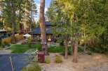 Charming cabin nestled among tall trees, offering a serene mountain retreat.
