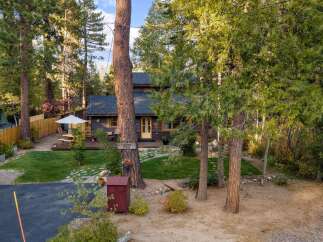 Charming cabin nestled among tall trees, offering a serene mountain retreat.