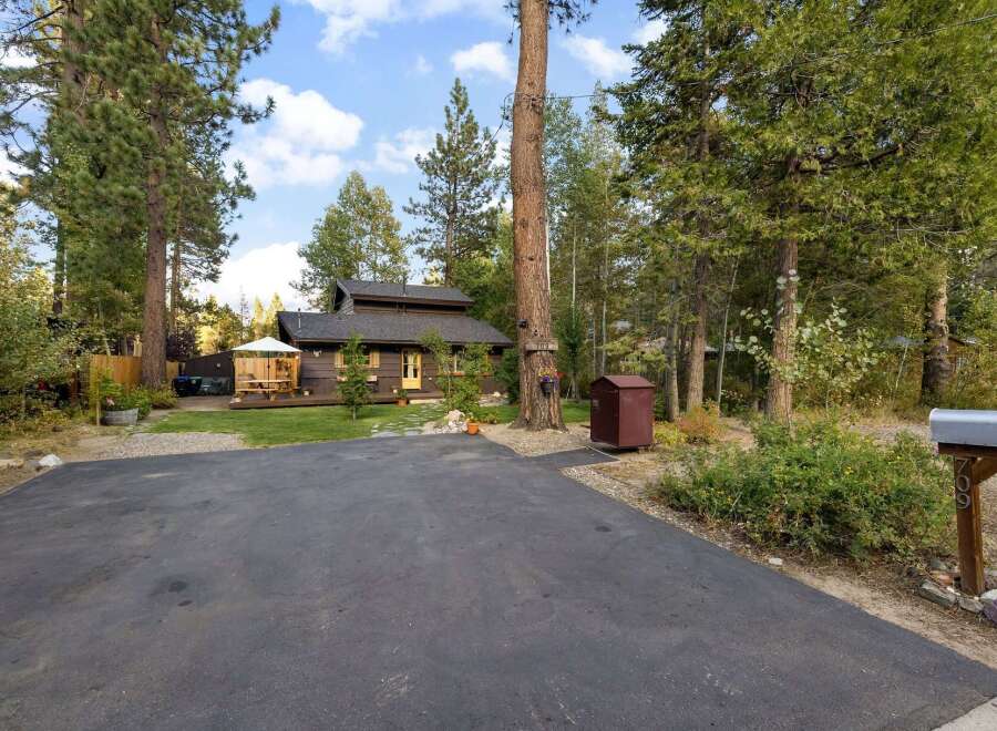 Nestled among tall pine trees, this charming cabin offers a serene retreat.