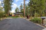 Nestled among tall pine trees, this charming cabin offers a serene retreat.