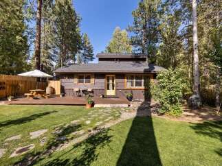 Charming cabin nestled among mature trees, offering a serene retreat.