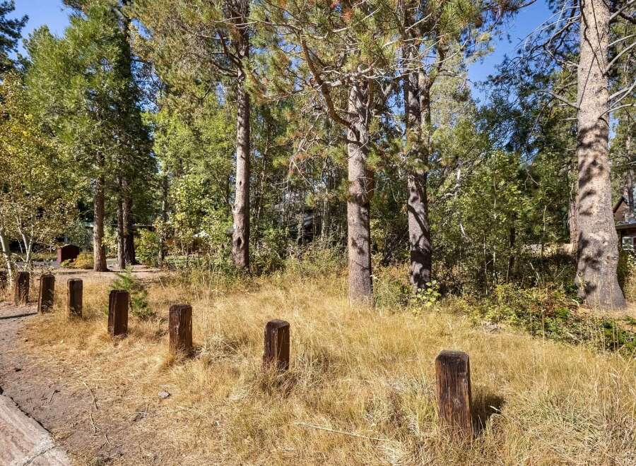 Nestled amongst mature pine trees, this property offers a serene and private setting.